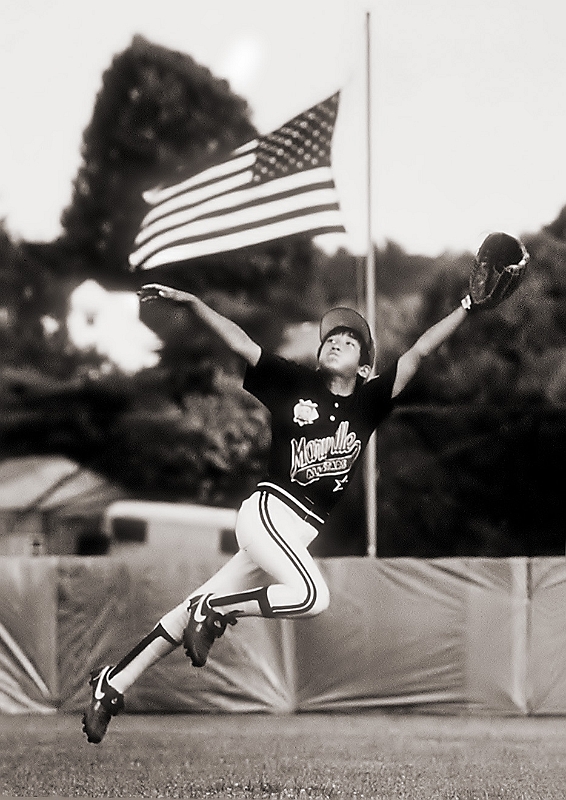 Fly Ball � Dave Hickey